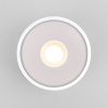 Уличный потолочный светильник Light LED 2135 IP65 Elektrostandard 35141/H белый