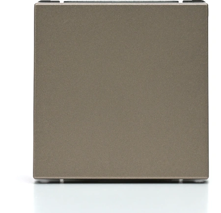 GAL000515 Systeme Electric Schneider Electric ArtGallery цвет шампань