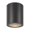Уличный потолочный светодиодный светильник Maytoni Bar O306CL-L12GF