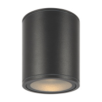 Уличный потолочный светодиодный светильник Maytoni Bar O306CL-L12GF