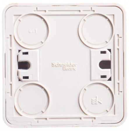 BA10-005D Systeme Electric Schneider Etude цвет сосна