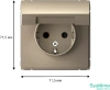 GAL000546 Systeme Electric Schneider Electric ArtGallery цвет шампань