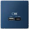 Высокоскоростная розетка USB А+С Systeme Electric ArtGallery аквамарин GAL001129