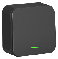 BLNVA106116 Systeme Electric Schneider Blanca накладной монтаж цвет антрацит