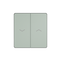 FSE000819 Systeme Electric Infinity цвет Таежное утро