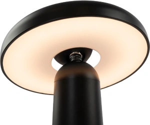 Настольная лампа светодиодная Freya Mushroom FR6109TL-L4B