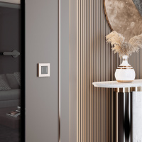 W0012962 Werkel Werkel рамки Slab