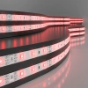 Светодиодная лента 12 В 4,8 Вт/м 60 Led/м 2835 IP20, красный, 5 м Elektrostandard Лента светодиодная 12V 4,8W 60Led 2835 IP20 красный, 5м