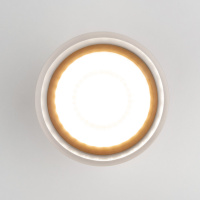 Уличный потолочный светильник Light LED 2107 IP54 Elektrostandard 35140/H серый