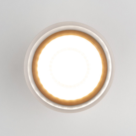 Уличный потолочный светильник Light LED 2107 IP54 Elektrostandard 35140/H черный