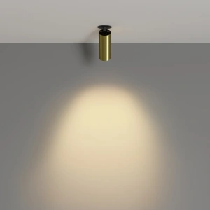 Спот светодиодный Maytoni FOCUS LED C053CL-L12W2.7K-W-BS