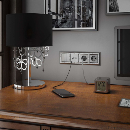 W1171306 Werkel Werkel механизмы серебряные