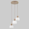 Подвесной светильник со стеклянными плафонами TK Lighting 11050 Ballo