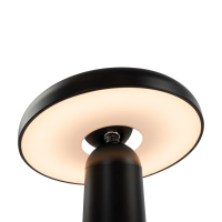 Настольная лампа светодиодная Freya Mushroom FR6109TL-L4B