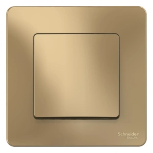 BLNVS010104 Systeme Electric Schneider Blanca цвет титан