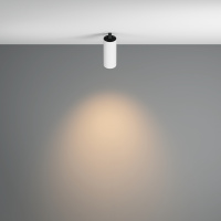 Спот встраиваемый светодиодный Maytoni FOCUS LED C053CL-L12W3K-W-W