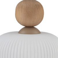 Подвесной светильник со стеклянным плафоном TK Lighting 11049 Ballo