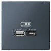 Высокоскоростная розетка USB А+С Systeme Electric ArtGallery грифель GAL000729