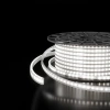 Светодиодная лента двухрядная Premium 220 В 18 Вт/м 180 Led/м 2835 IP65, холодный белый 6500K, 50 м Elektrostandard LS011 220V