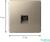 GAL000583 Systeme Electric Schneider Electric ArtGallery цвет шампань