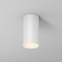Уличный потолочный светодиодный светильник Maytoni Luxe O500CL-L5W3K