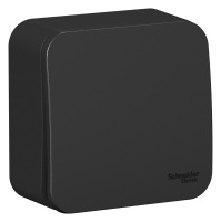 BLNVA106016 Systeme Electric Schneider Blanca накладной монтаж цвет антрацит