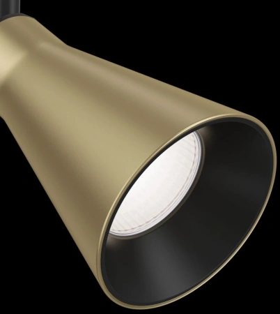 Встраиваемый спот Maytoni Vivar C059CL-01MG