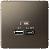 Высокоскоростная розетка USB А+С Systeme Electric ArtGallery мокко GAL000629