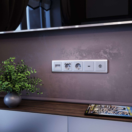 W1171006 Werkel Werkel механизмы серебряные