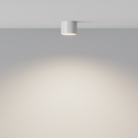 Потолочный светильник Maytoni Glam C096L-GX53-WBS