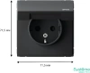 GAL441046 Systeme Electric Schneider Electric ArtGallery цвет карбон