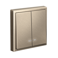 GAL000553 Systeme Electric Schneider Electric ArtGallery цвет шампань