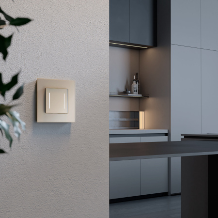 W4523011 Werkel Werkel механизмы сенсорные шампань