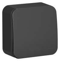 BLNVA101116 Systeme Electric Schneider Blanca накладной монтаж цвет антрацит