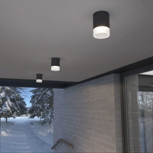 Уличный потолочный светильник Light LED 2107 IP54 Elektrostandard 35140/H черный