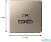 GAL000527 Systeme Electric Schneider Electric ArtGallery цвет шампань