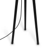 Торшер Maytoni Calvin Z177FL-01B