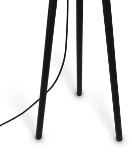 Торшер Maytoni Calvin Z177FL-01B