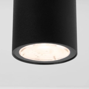 Уличный потолочный светильник Light LED IP65 Elektrostandard 35129/H черный
