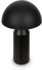 Настольная лампа Freya Eleon FR5218TL-02B1