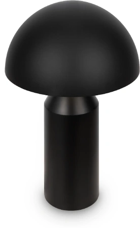 Настольная лампа Freya Eleon FR5218TL-02B1