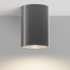 Уличный потолочный светодиодный светильник Maytoni Bar O306CL-L12GF