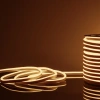 Светодиодный гибкий неон 220 В 9.6 Вт/м 120 Led/м 2835 IP67, односторонний теплый белый 3300 K, 50 м Elektrostandard Гибкий неон 220V 9,6W 120Led 2835 IP67 односторонний теплый белый, 50 м