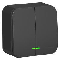 BLNVA105116 Systeme Electric Schneider Blanca накладной монтаж цвет антрацит