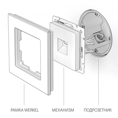 W1182011 Werkel Werkel механизмы шампань