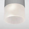 Уличный потолочный светильник Light LED 2106 IP54 Elektrostandard 35139/H серый