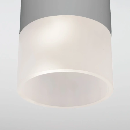 Уличный потолочный светильник Light LED 2106 IP54 Elektrostandard 35139/H серый