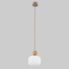 Подвесной светильник со стеклянным плафоном TK Lighting 11049 Ballo