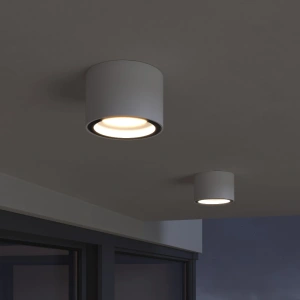 Уличный потолочный светильник Light 26231 IP54 Elektrostandard 35144/H