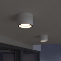Уличный потолочный светильник Light 26231 IP54 Elektrostandard 35144/H